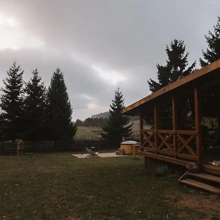 Apartment Dom W Akacjach